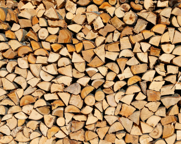 istock logs and timbers of a woodpile 1127499473