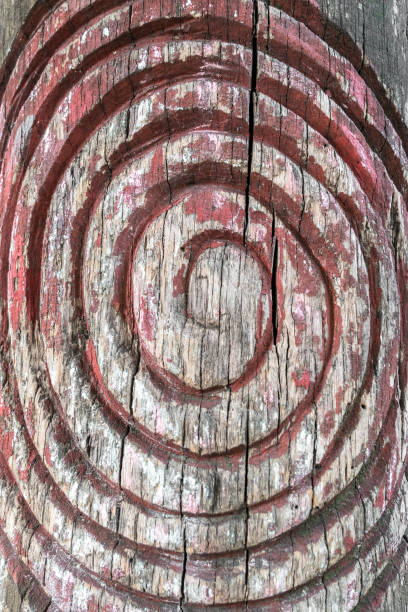 istock Spiral symbol engraved on the bark of a tree 1127502218