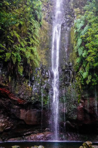 istock Madeira, Portugal 1127502553