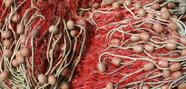 istock fishing nets with floats used to fish 1127504970