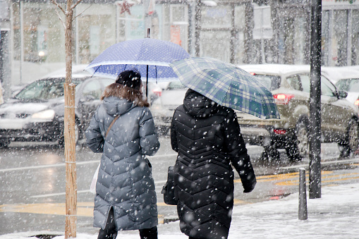 People under umbrellas walking on sidewalk in heavy snowfall and city street traffic  behind them