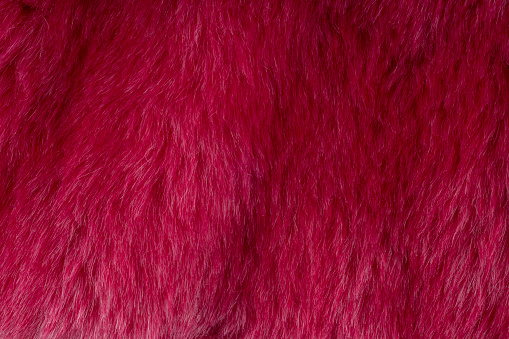 The red faux fur textured background