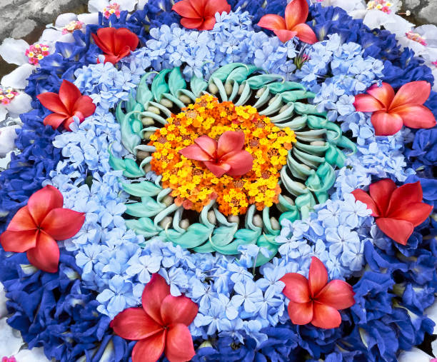 istock Colorful floating flower petals 1127506205
