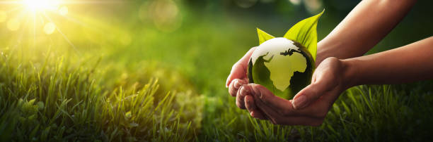 istock Green Planet in Your Hands. Environment Concept 1127506227