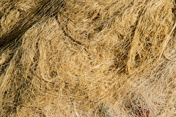 istock Fishing net with cords and floats background. 1127506994