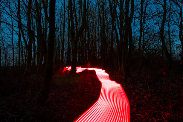istock Red Neon light trails in a winter forest at dusk. 1127508314
