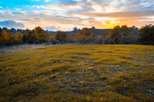 Un hermoso paisaje de una puesta de sol en una colina de verde hierba y los árboles en la naturaleza photo