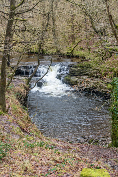 istock Fast flowing at rapids in Welsh countryside 1127513520