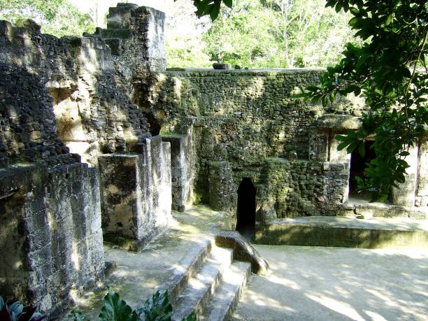 istock Mayan ruins in Tikal, Guatemala 1127513750