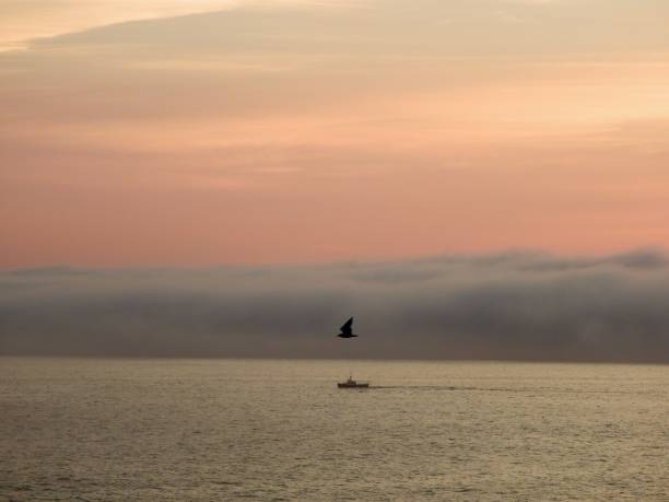 sunrise in bar harbour, maine, usa - wolk imagens e fotografias de stock