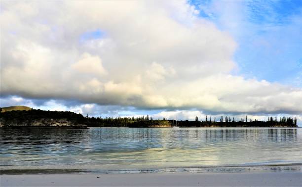 остров сосен на пляже - wolk стоковые фото и изображения