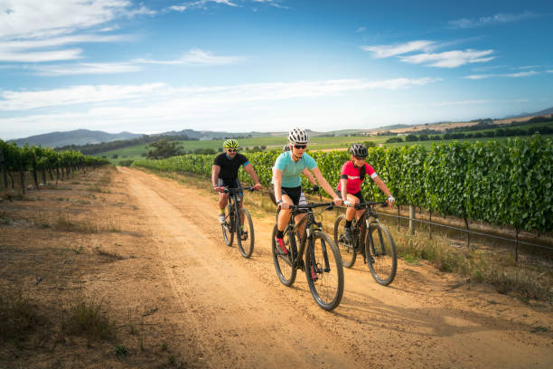 istock Cyclists riding bicycles on dirt road amidst field 1127520357