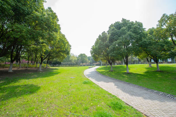 istock Green areas and woods in city parks 1127520977