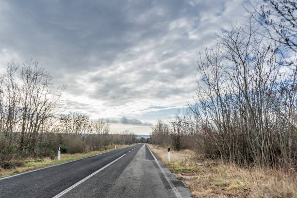 istock Tree Lined Empty Country Road on Cloudy Winter Day 1127521717