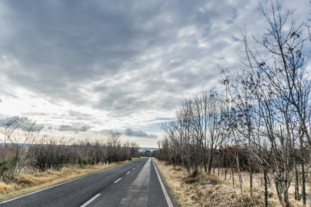 istock Tree Lined Empty Country Road on Cloudy Winter Day 1127521725
