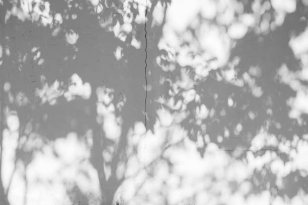 istock Low Angle View Of Leaves Against Trees 1127522336