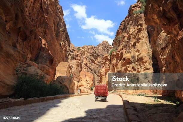 The Siq The Narrow Slotcanyon That Serves As The Entrance Passage To The Hidden City Of Petra Jordan Stock Photo - Download Image Now