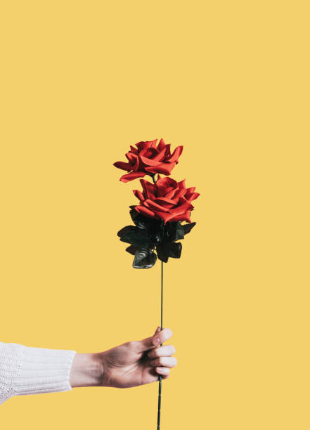istock Giving a rose for Valentines day 1127526939