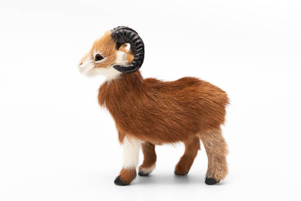 Mountain sheep on a white background. Souvenir.