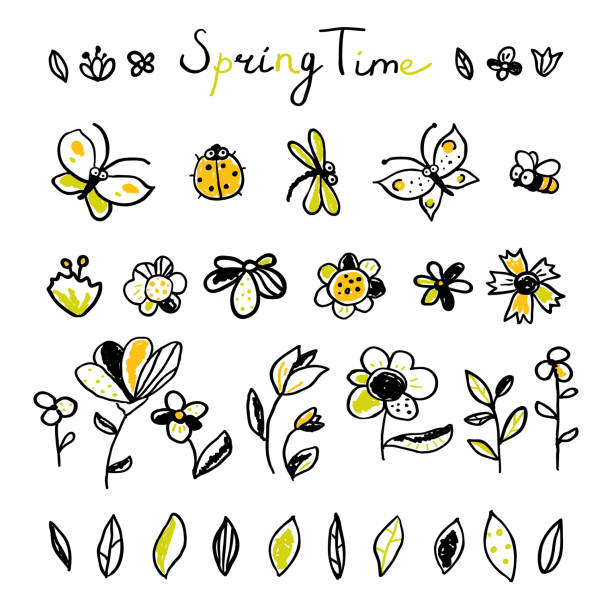 ilustraciones, imágenes clip art, dibujos animados e iconos de stock de establecer elementos de insectos y hojas florales, dibujado a mano - plant animal backgrounds nature