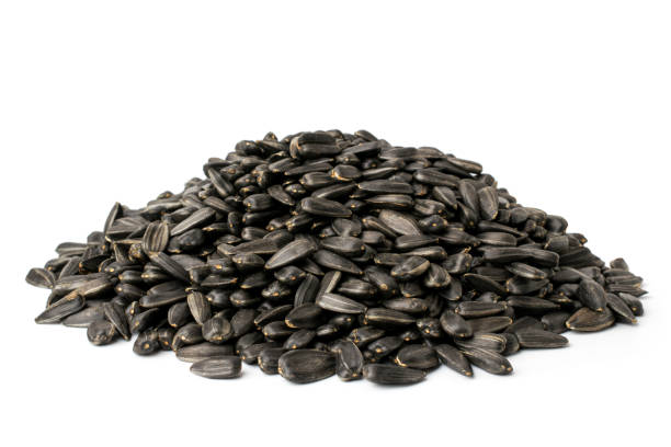 istock Bunch of fried sunflower seeds on a white, close up 1127537563