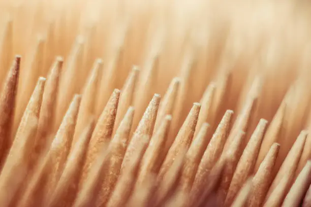 Close-up of a group of wooden toothpick