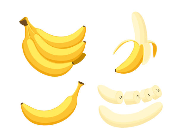 벡터 일러스트 레이 션 설정된 신선한 바나나 흰색 배경에 고립의 - banana bunch yellow healthy lifestyle stock illustrations