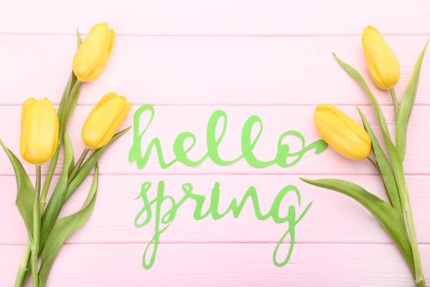 istock Bouquet of yellow tulips with text Hello Spring on wooden table 1127542299