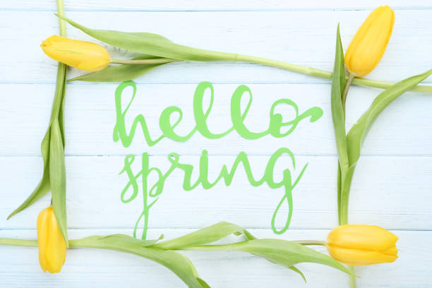 istock Bouquet of yellow tulips with text Hello Spring on wooden table 1127542338