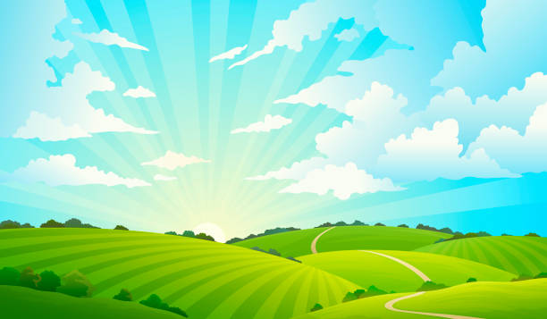 illustrazioni stock, clip art, cartoni animati e icone di tendenza di paesaggio dei campi. colline verdi panoramiche natura cielo orizzonte prato prato prato terreno rurale agricoltura praterie - messi