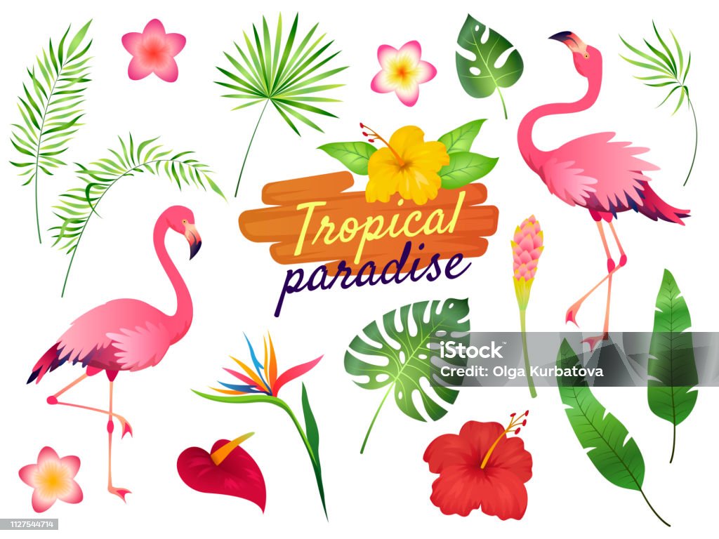 Ilustración de Flamencos Tropicales Flores De Color Rosa Flamingo Selva  Palma Hojas Naturaleza Verano Playa Dibujos Animados De Flora De Plantas  Exóticas Lindo y más Vectores Libres de Derechos de Caribe -