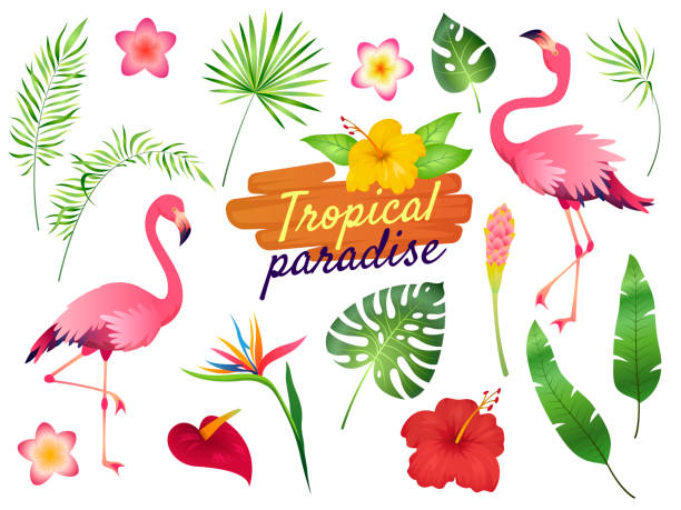 Tropical flamingos. Pink flamingo jungle flowers palm leaves, nature, summer beach, cute exotic plants flora cartoon Tropical flamingos. Pink flamingo jungle flowers palm leaves, nature, summer beach, cute exotic plants flora cartoon vector set caribbean stock illustrations