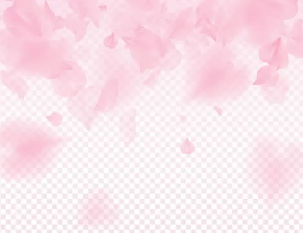 Vector illustration of Pink sakura petals transparent background. A lot of falling petals 3D romantic valentines day illustration. Spring tender light backdrop. Translucent overlay tenderness romance design