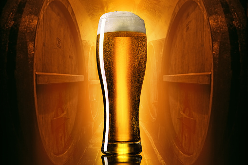 Craft light lager beer in a pilsner glass on yellow to brown gradient with beer barrels background.