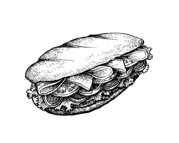 Hand Drawn of Baguette Sandwich on White Background vector art illustration