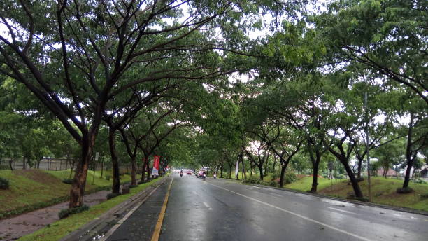 istock Street in wet 1127549383