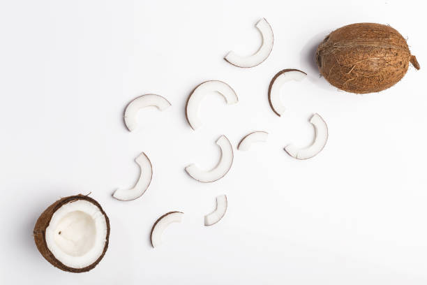 fotografii de stoc, fotografii și imagini scutite de redevențe cu nucă de cocos proaspătă, vedere de sus - cocotier