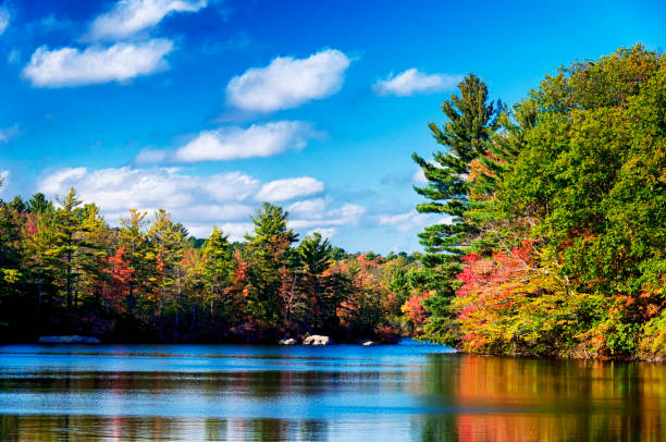 istock Burr Pond State Park Torrington Autumn 1127552701