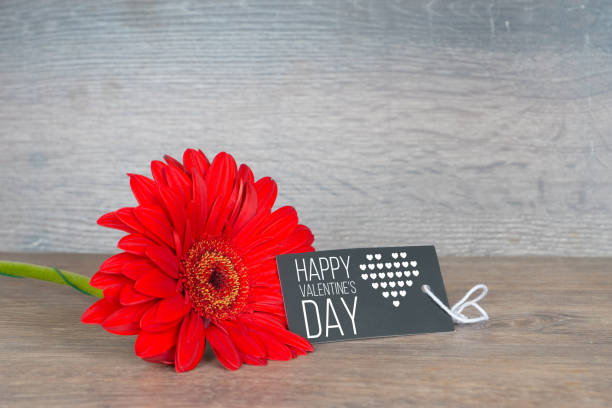istock happy valentine's day, greetings with red gerbera flower 1127554202