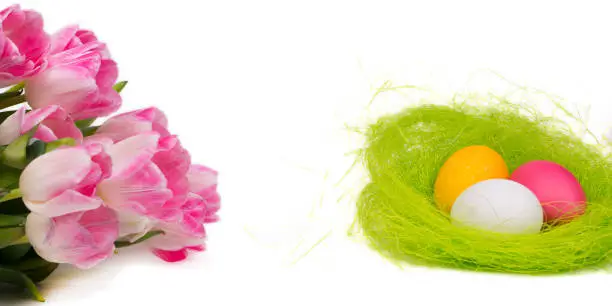 tulips and eggs in nest, easter banner or header