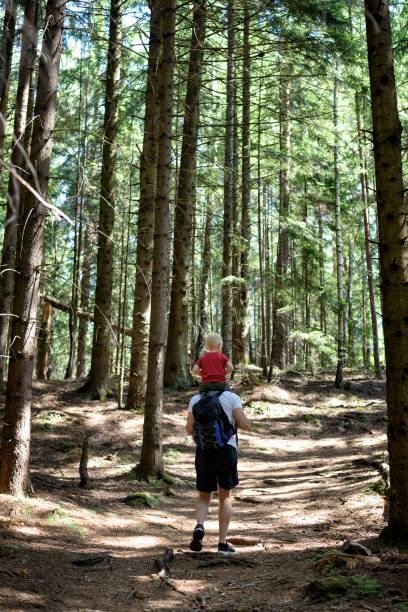 istock Father with backpack and young son on his shoulders walking on a coniferous forest. Back view. Activities and tourism 1127559004