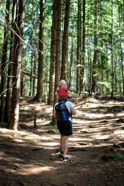 istock Father with backpack and young son on his shoulders walking on a coniferous forest. Back view. Activities and tourism 1127559006