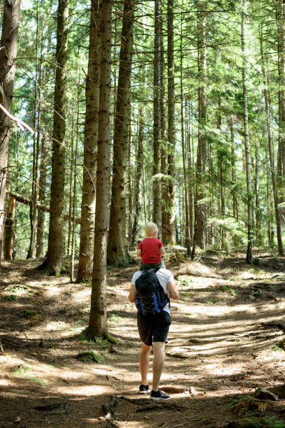 istock Father with backpack and young son on his shoulders walking on a coniferous forest. Back view. Activities and tourism 1127559008