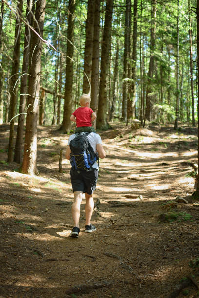 istock Father with backpack and young son on his shoulders walking on a coniferous forest. Back view. Activities and tourism 1127559049
