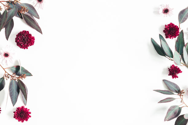 istock Flowers composition. Eucalyptus leaves and pink flowers on white background. Flat lay, top view, copy space 1127559886