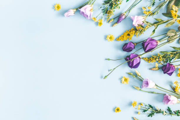 istock Flowers composition. Yellow and purple flowers on pastel blue background. Spring, easter concept. Flat lay, top view, copy space 1127560445