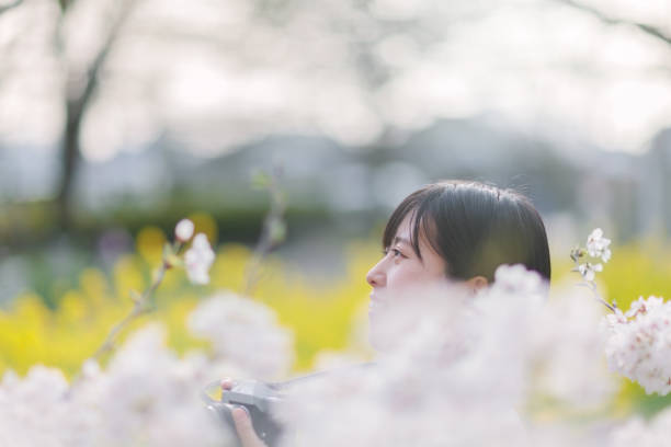 A young Japanese woman is taking photos of a cherry tree.