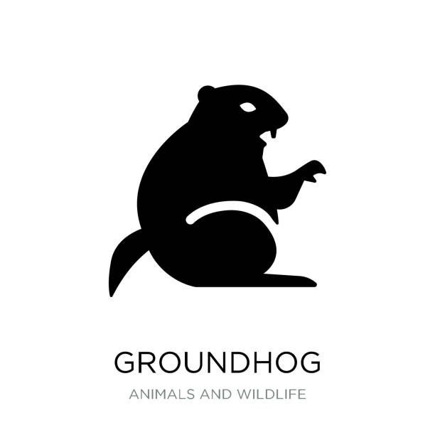 ilustraciones, imágenes clip art, dibujos animados e iconos de stock de vector icono de marmota sobre fondo blanco, moda marmota lleno de iconos de animales y recolección de flora y fauna - groundhog