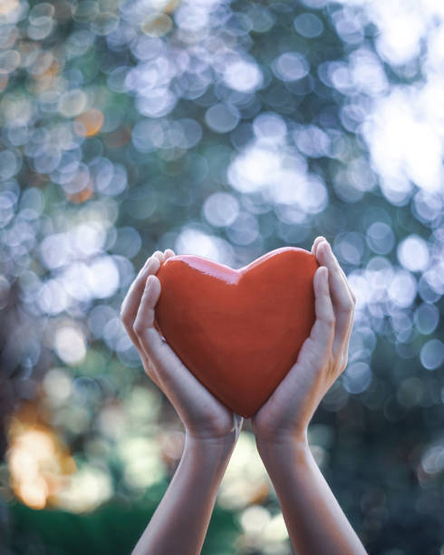 istock Woman hand Holding Red wood heart . 1127565767