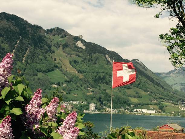 istock Lake Lucern (Vierwaldstätter See) Switzerland 1127568798